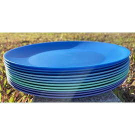WEXINHAO 10 inch Plastic Plates Reusable, BPA Free, Dishwasher Safe, Easy to Clean, Set of 12 in Multicolors for Kitchen Party Indoor and Outdoor Use