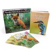 The New Easy Read Bible & Notecard Gift Set -