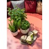 Capi Europe - Flower Pot Ball Groove 'Made with' Metallic