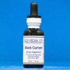 Pure Herbs: Black Currant - 1 oz.