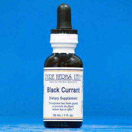 Pure Herbs: Black Currant - 1 oz.