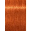 Schwarzkopf Professional Igora Royal Tinte para el Cabello - 8-77