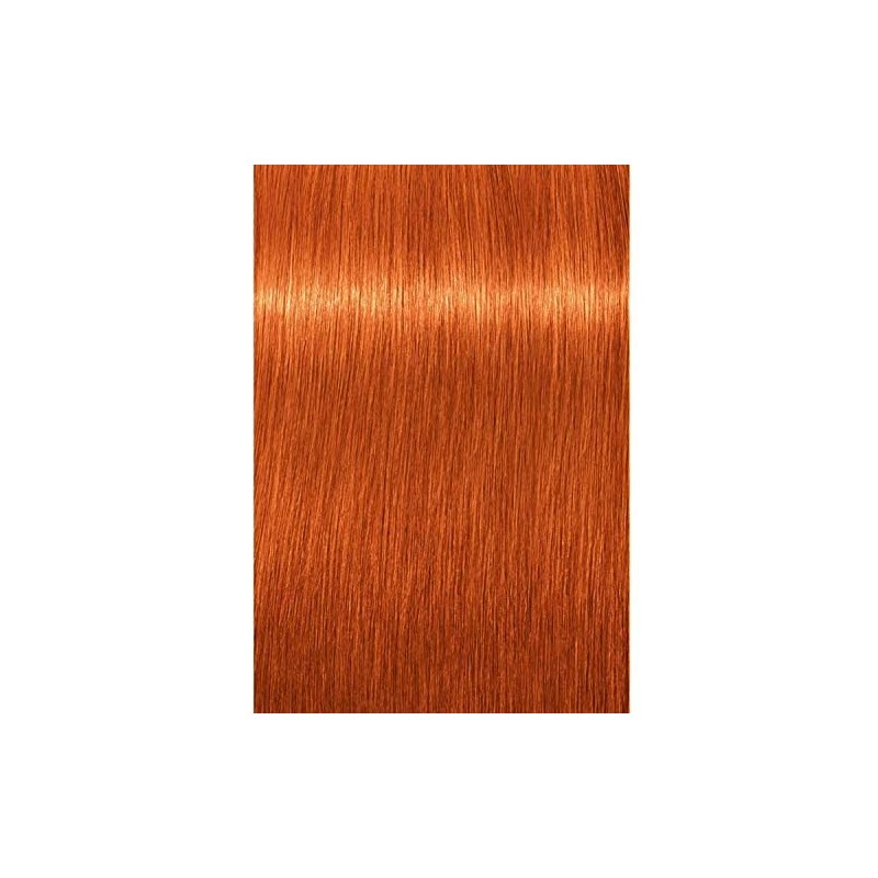 Schwarzkopf Professional Igora Royal Tinte para el Cabello - 8-77