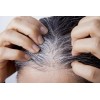 Shampoo Organo Nogal Sheló Matiza Reaviva Color Tinte Oscuro