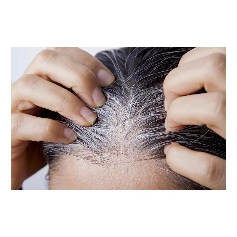Shampoo Organo Nogal Sheló Matiza Reaviva Color Tinte Oscuro