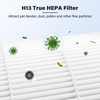FMDZFL B-D02L Filter Replacement for MOOKA/KOIOS B-D02L Air Puri Fier