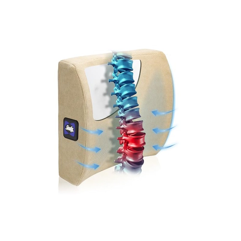 Sealy Lumbar Support Pillow