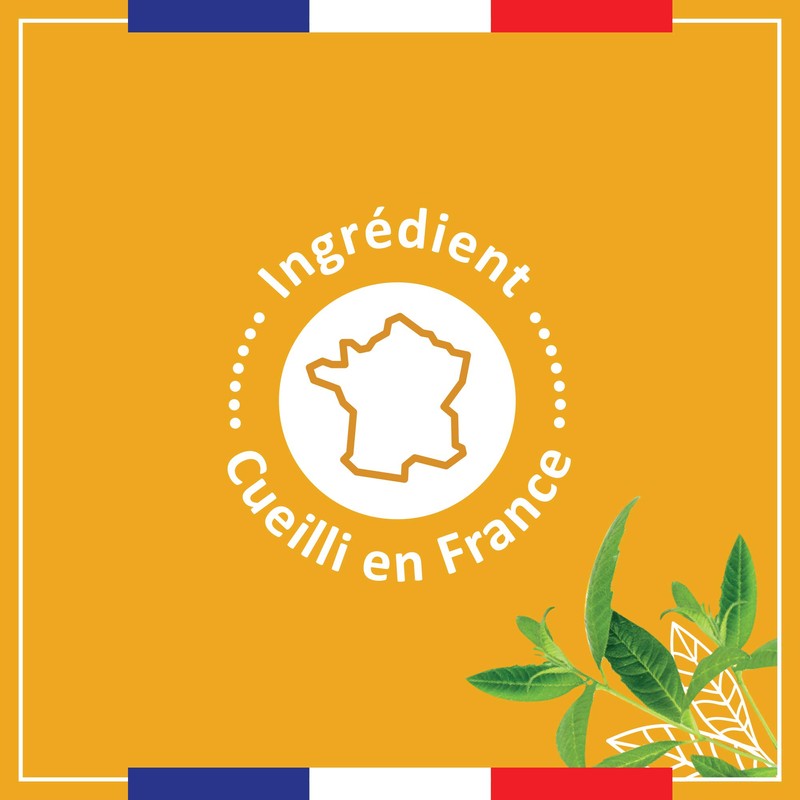 Le Petit Marseillais Organic Verbena & Lemon Shower Gel 250