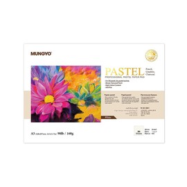BC233 Professional Pastel Paper Pad A3 Size for Oil, Dry Pastel, Paper Pastel 20 Sheets (Soft Assorted)