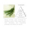 Acqua Aroma Rosemary Scented Sachet 7.0 cu. in. (115mL/24g) -