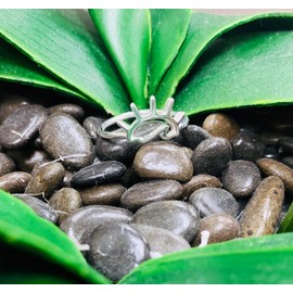 CloseoutWarehouse 925 Sterling Silver Waves At Sunset Ring Size 8