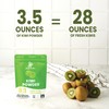 Jungle Powders Kiwi Fruit Powder 3.5 Ounce Bag Freeze Dried