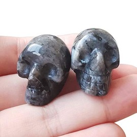 Manekieko 2 Pcs Natural Black Labradorite Mini Crystal Human Skull Figurines,25mm Handcarved Crystals and Healing Stone Room Decor Gemstone