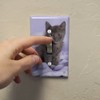 GRAPHICS & MORE Domestic Shorthair Kitten Cat Angel Wings Purple