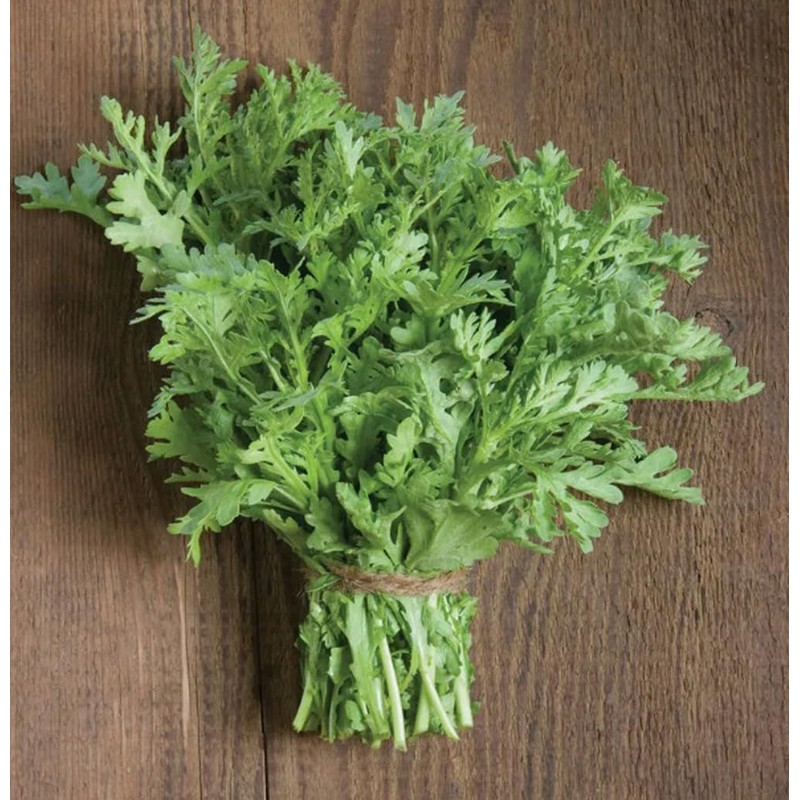 100PCS Garland Chrysanthemum Seeds Rare Vegetable Heirloom Seeds