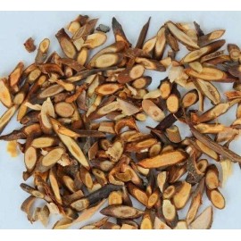 IntotheNature Ramulus Cinnamomi / Gui Zhi 桂枝片 / 4oz