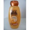 Garnier 3 Garnier Whole Blends Honey Treasures Repairing Shampoo (2)