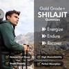 THE MONK Organic Himalayan Shilajit Gummies with Fulvic Acid, Humic