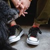DELELE Flat Fat Shoe Laces: 5/8 Inches Wide Black Athletic
