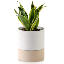 Nihow Self Watering Plant Pot: 6 Inch Ceramic Planter with Drainage Hole & Water Storage Plus for Indoor & Outdoor Plants - Cylinder Round Flower Pot for Succulent/Herbs/Violets - White & Brown