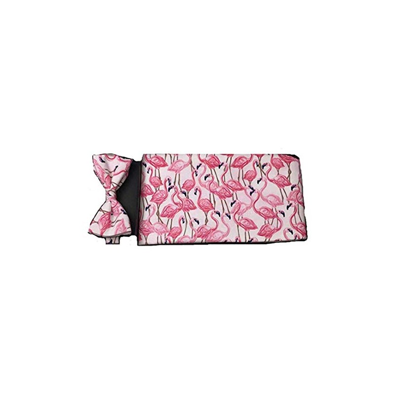 Flamingo Fun Cummerbund & Bow Tie Set