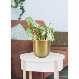 Serene Spaces Living Antiqued Brass Vase-Simple Design with Curved Base Accent Piece,2 Sizes - Size: Small - Aluminum (Set of 12)