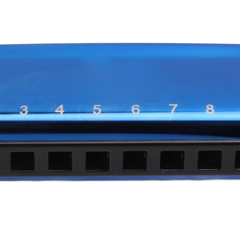 Harmonica C Key 10 Holes Diatonic Scale Mouth Organ Musical