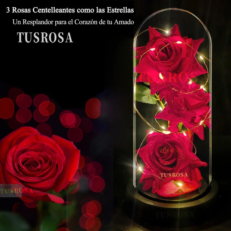 Día de San Valentín Regalos De Mujer Flores Eternas Camino