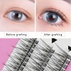 ADIYA Fishtail Eyelash Extensions 8-14mm Single Cluster Fans Eyelashes Fashion