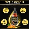 Penhoment 6in1 Liquid Turmeric Curcumin with Ginger, Berberine Extract, Ceylon