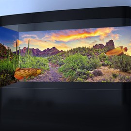 Reptile Habitat Background Rock Blue Sky Oasis Cactus Sunset Desert Terrarium Background 36X18IN with 8 EVA Double-Sided Tape