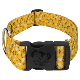 Country Brook Petz - Deluxe Spring Cottagecore Dog Collar - Spring Collection with 6 Springtime Designs (1 1/2 Inch, Extra Large)