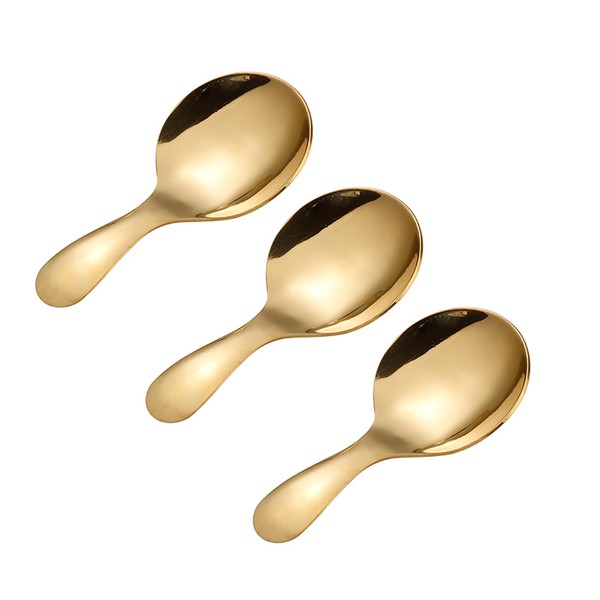 Small Stainless Steel Salt Spoon, 3 Pieces Tea Spoons, Sugar