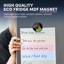 1 x Round MDF Magnet - Poison Dart Frog Rainforest Frogs 46141