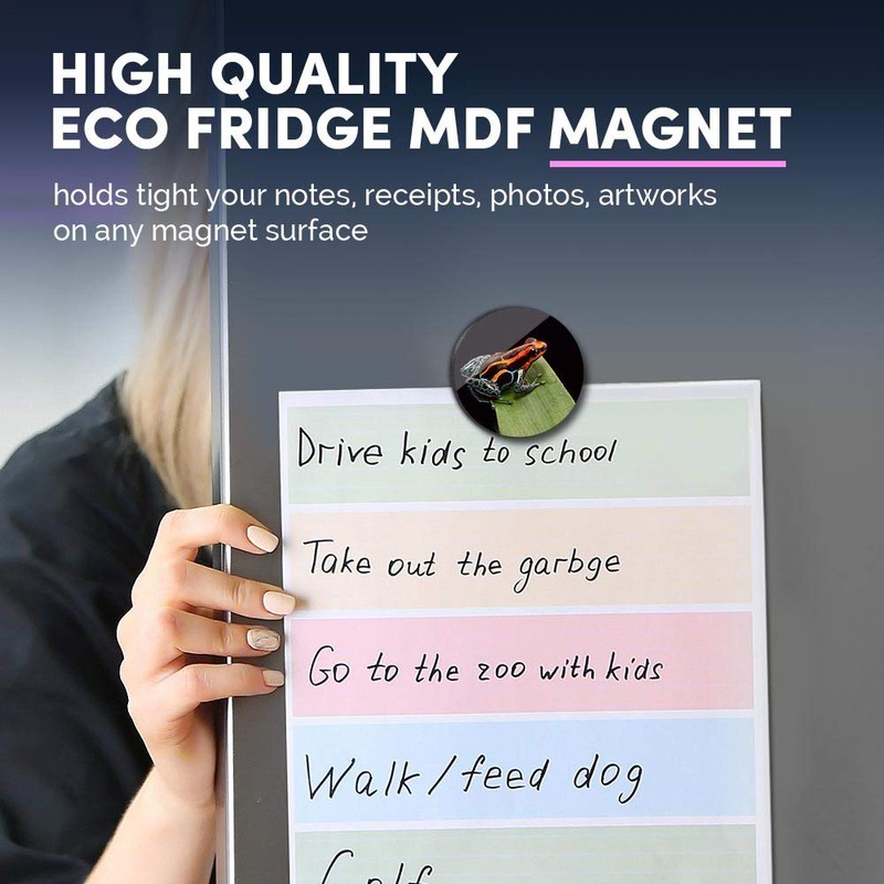 1 x Round MDF Magnet - Poison Dart Frog Rainforest