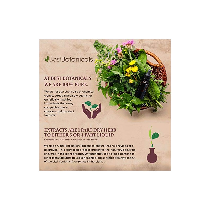 Best Botanicals Lobelia Herb Powder 16 oz.