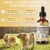 Aura Pets Advanced Vision Formula for Dogs - Eye Health