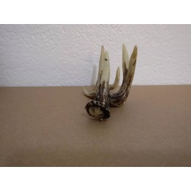 Slifka Resin Deer Antler Business Card Holder