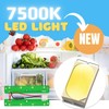 New Upgraded W11042554 Refrigerators LED Light Module Board compatible with