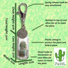 Yetti | Mini Cactus Gift Keyring - Living Plant on a Keychain (Ghost - Set of 2) | Tiny Plant Gift for Cactus Lovers, Plant Keyring Keychain