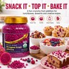 WildSap Emeralds Freeze Dried Dragon Fruit - 20.8 oz (590g)