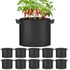 HealSmart 5 Gallon 10 Pack Plant Grow Bags, Tomoato Planter