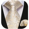 HISDERN Champagne Ties for Men Solid Floral Silk Paisley Mens