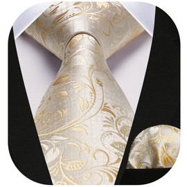 HISDERN Champagne Ties for Men Solid Floral Silk Paisley Mens Beige Tie Handkerchief Classic Ivory Necktie Pocket Square Set Formal Wedding Ties