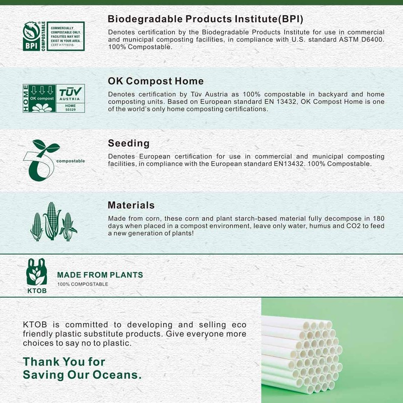 6x10 100% Biodegradable Bubble Mailers,25 Count #0 Compostable Padded Packaging
