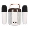 Wireless Karaoke Speakers RGB Light Bluetooth5.3 Speaker with 2 Wireless