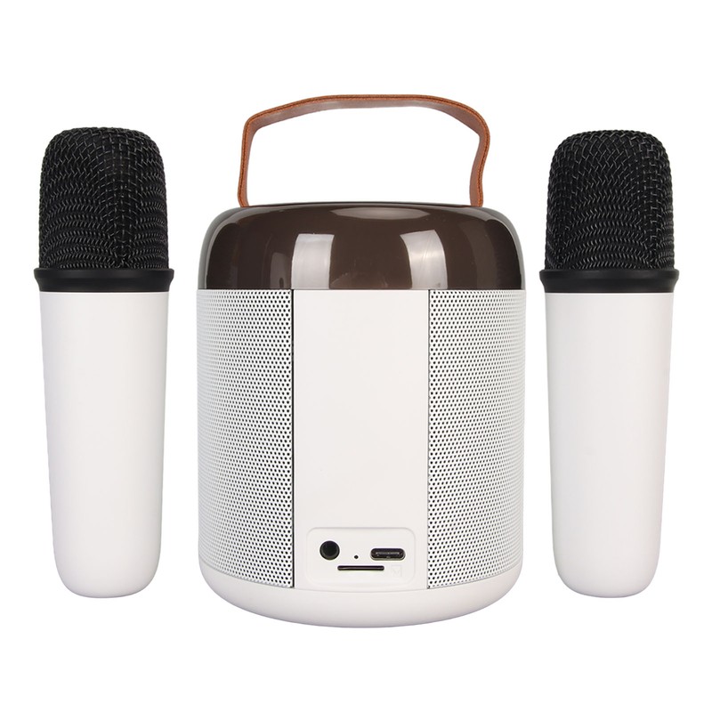 Wireless Karaoke Speakers RGB Light Bluetooth5.3 Speaker with 2 Wireless