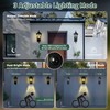 Kainozoic Motion Sensor Dawn to Dusk Outdoor Sensor Light Fixture