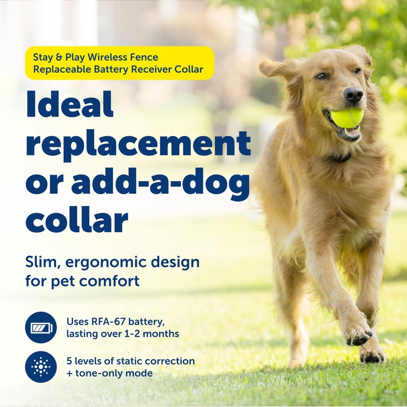 PetSafe Stay & Play Wireless Fence Replaceable Battery Receiver Collar