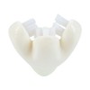 Nuby Cepillo Dental para Bebés con 3 Cabezas, Cerdas Suaves,